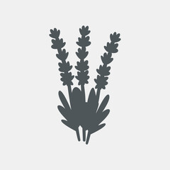lavender botanic elements vector illustration cut