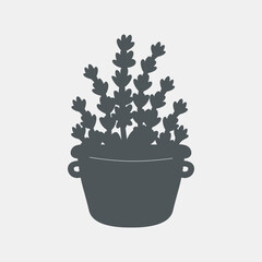lavender botanic elements vector illustration cut