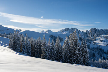 Suisse, Canton de Berne, R&eacute;gion Jaunpass, Depuis Hundsr&uuml;gg, Pr&egrave;s de Gastlosen, Ballade en raquettes