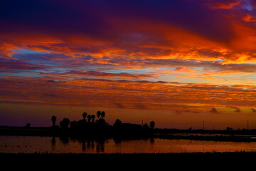 Fototapeta na wymiar Romantic sunset in Delta del Ebro , Tarragona, Spain