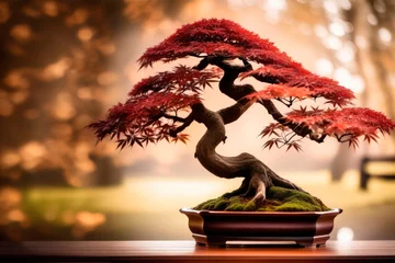 Fotobehang Japanese Maple Bonsai in Autumnal Serenity © Luismartin_fit