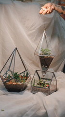 Trabajos artesanales de Terrarios botanicos con distintas formas en sesion fotografica para catalogo puesto en una mesa blanca con plantas 
