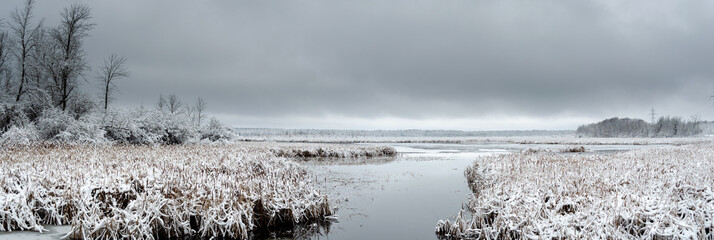 Panorama of a frozen wetland in winter