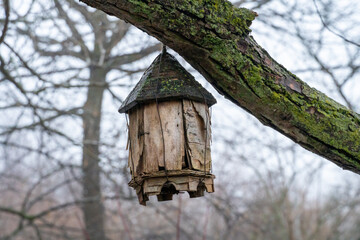 Nestled birdhouse at the lush branch of a moss-covered tree in Vancouver's rainy forest, Bird shelter in the forest.