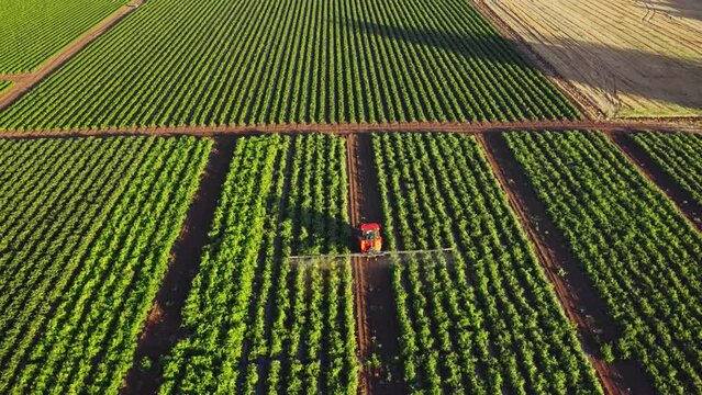 Combiner on the field. Sprays the field with pesticides. The combine sprays the field with herbicides to effectively control weeds