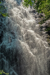 Dramatic Cascade Through in the Forest