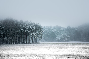 Brandenburger Landschaft im Winter