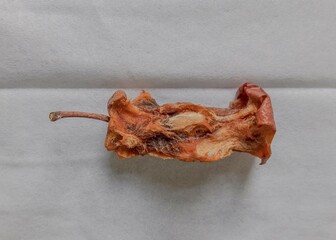 Rotten apple loftover on white paper.