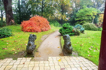 Autumn leaf color of Japanese maple in Japanese garden of Leverkusen : Torii gate at distance and...