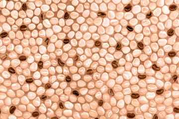 Polished pebbles background. Color of the Year 2024 Peach Fuzz