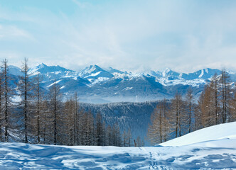 Fototapeta na wymiar Winter forest near Dachstein mountain massif