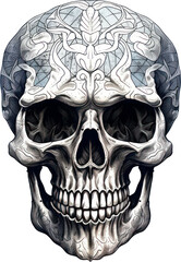 Fototapeta premium Illustration of skull png with transparent background