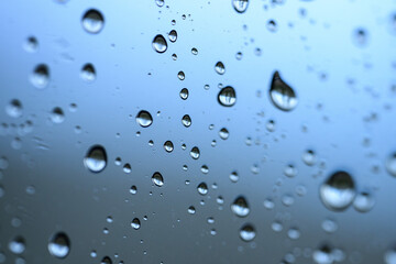 raindrops in the woods