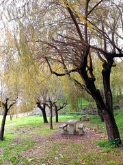 Ideal place for a picnic in the park