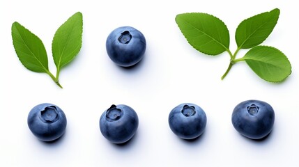 Blueberry isolated. Blueberries top view. Blueberry with leaves flat lay on white background with clipping path. - obrazy, fototapety, plakaty