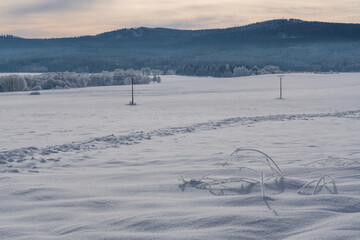 snowy landscape
