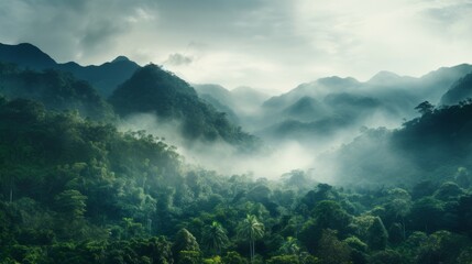 Foggy landscape in the jungle. Fog and cloud mountain tropic valley landscape