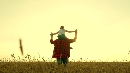 Dads, child plays on his shoulders runs through wheat field. Family of farmers, daughter father running holding hands in wheat field. Girl, father dream of flying to field with ears of wheat, outdoors