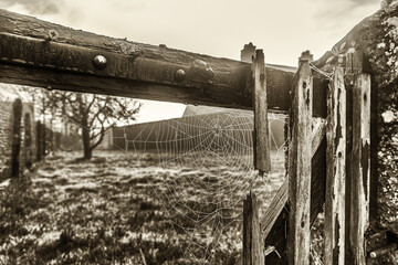 View of a spiderweb on a weathered wooden garden gate of a French village on a foggy sunrise  - 690807927