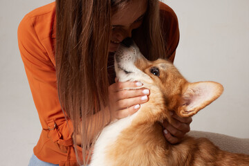 girl kissing Pembroke Welsh corgi dog on a clean white background, love for animals