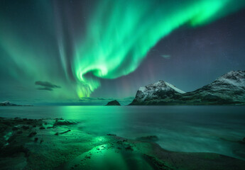 Aurora borealis over the sea, snowy mountains at starry winter night. Northern Lights in Lofoten...