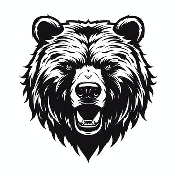 Cara de oso salvaje vector