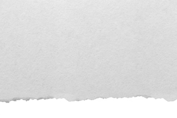 Ripped paper effect and torn on transparent background PNG