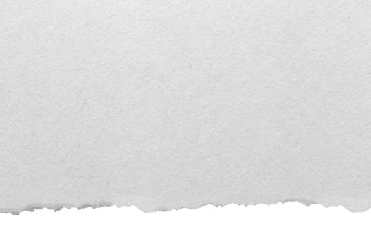 Ripped paper effect and torn on transparent background PNG