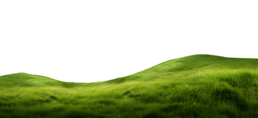 Grass field landscape cutout background