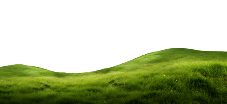 Grass field landscape cutout background
