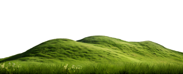 Grass field landscape cutout background