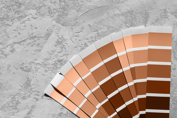 Colour of the year Palette Catalog Peach Fuzz samples, paint selection cards on grey stone...