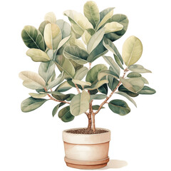 houseplant element trees leaves.designed for digital use decoration, website, page and general digital work 