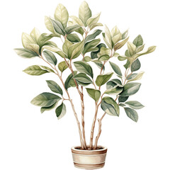 houseplant element trees leaves.designed for digital use decoration, website, page and general digital work 