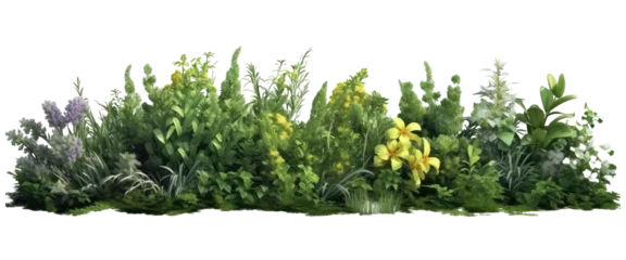 Tuinposter shrubs plants flowers isolated on transparent background © kharom