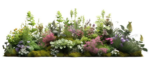 plants flower garden isolated on transparent background