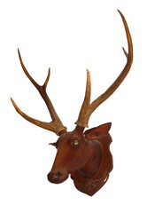 deer head with horns on isolated background