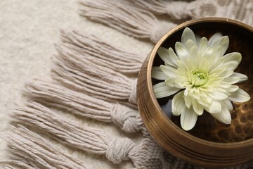 Tibetan singing bowl with water and beautiful chrysanthemum flower on table, above view. Space for text