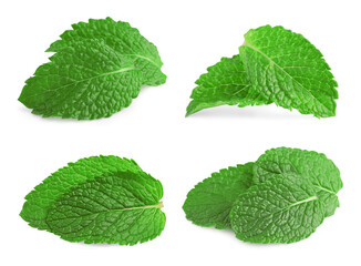 Many fresh mint leaves isolated on white