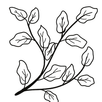 recommend clip art: Leaf
