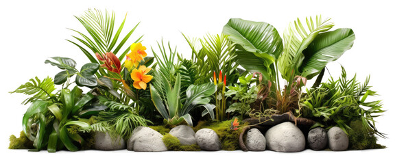 Fototapeta premium Tropical plants bush and Decorative with stones garden, Floral arrangement nature isolated on transparent background