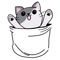 Gray cat in pocket