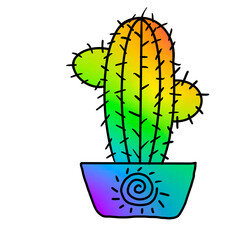 Rainbow cactus