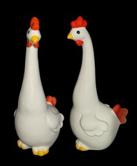 two white chicken isolated on black