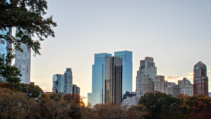 city skyline behind the autumn trees of central park