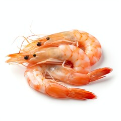 fresh shrimp real photo photorealistic stock photography