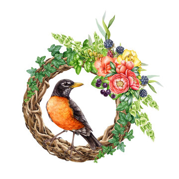 Floral decor wreath with bird. Watercolor vintage style painted illustration. Hand drawn rustic decoration. Vine twisted wreath with garden flowers, ivy leaves, berries, robin bird. White background