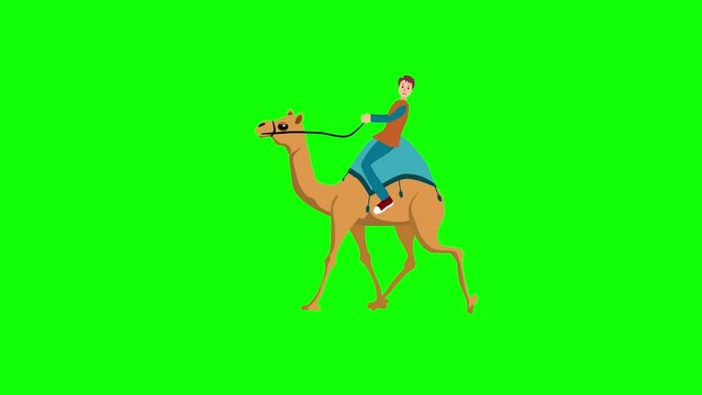 tourist on a camel on green screen 2d animation cartoon