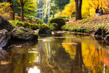 偕楽園　紅葉ロード