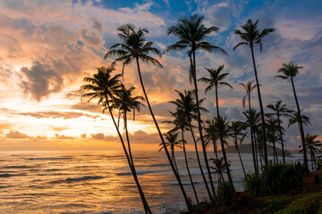 Fototapeta na wymiar Beautiful sunset on the Indian Ocean coast on the island of Sri Lanka, Mirissa.